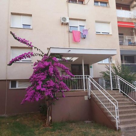 Popovic Apartman Póla Kültér fotó