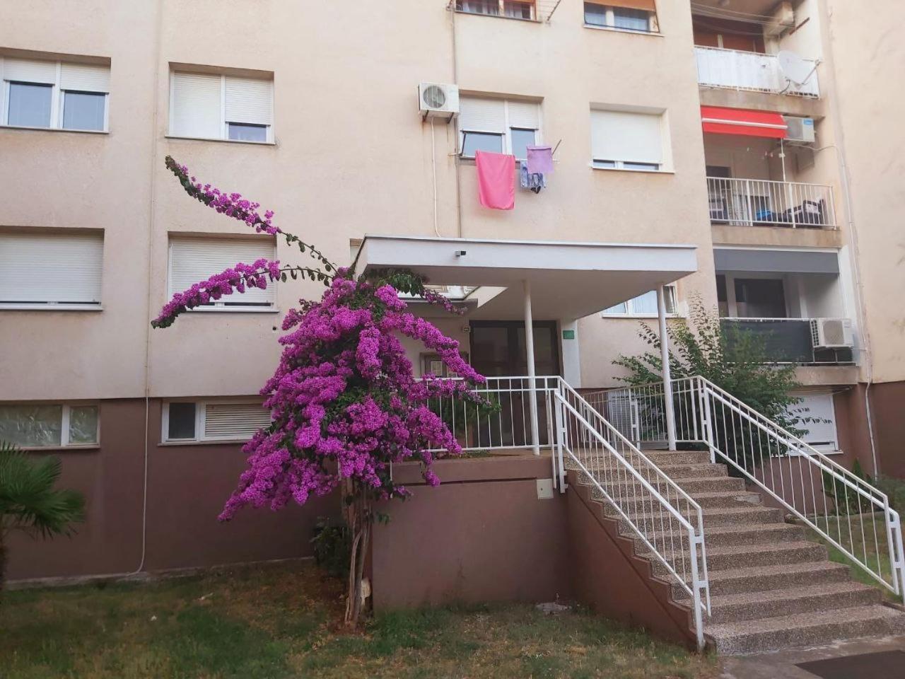 Popovic Apartman Póla Kültér fotó